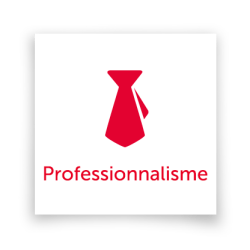 professionnalisme