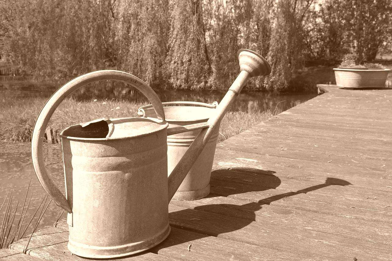 watering-can-392510_1280-vintage