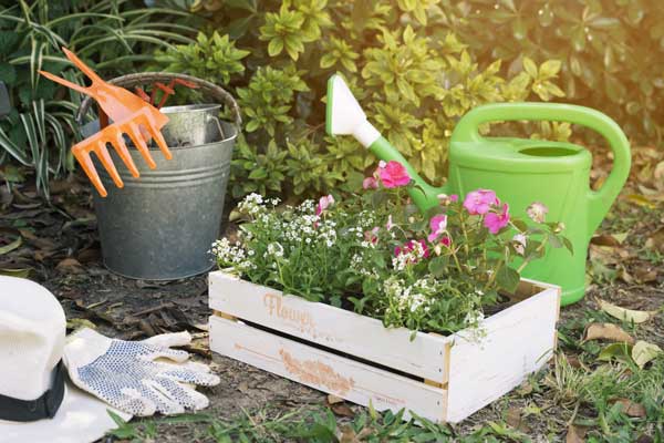 entretien des espaces verts à Lyon