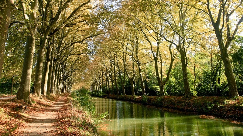 le canal du midi à toulouse en haute garonne