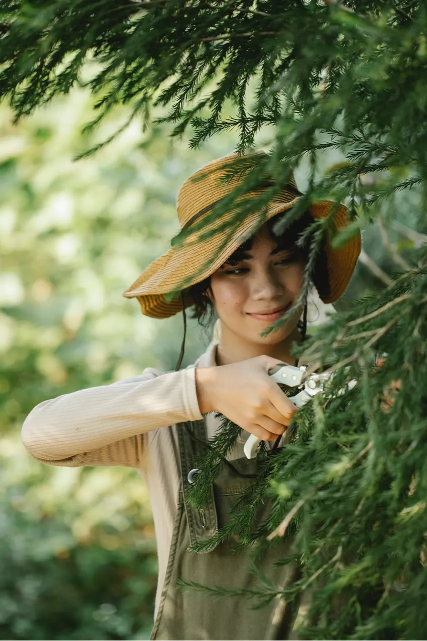 Une jeune femme en train de tailler un arbre