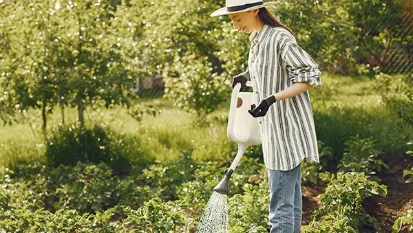 Une femme en train d'arroser des plantes