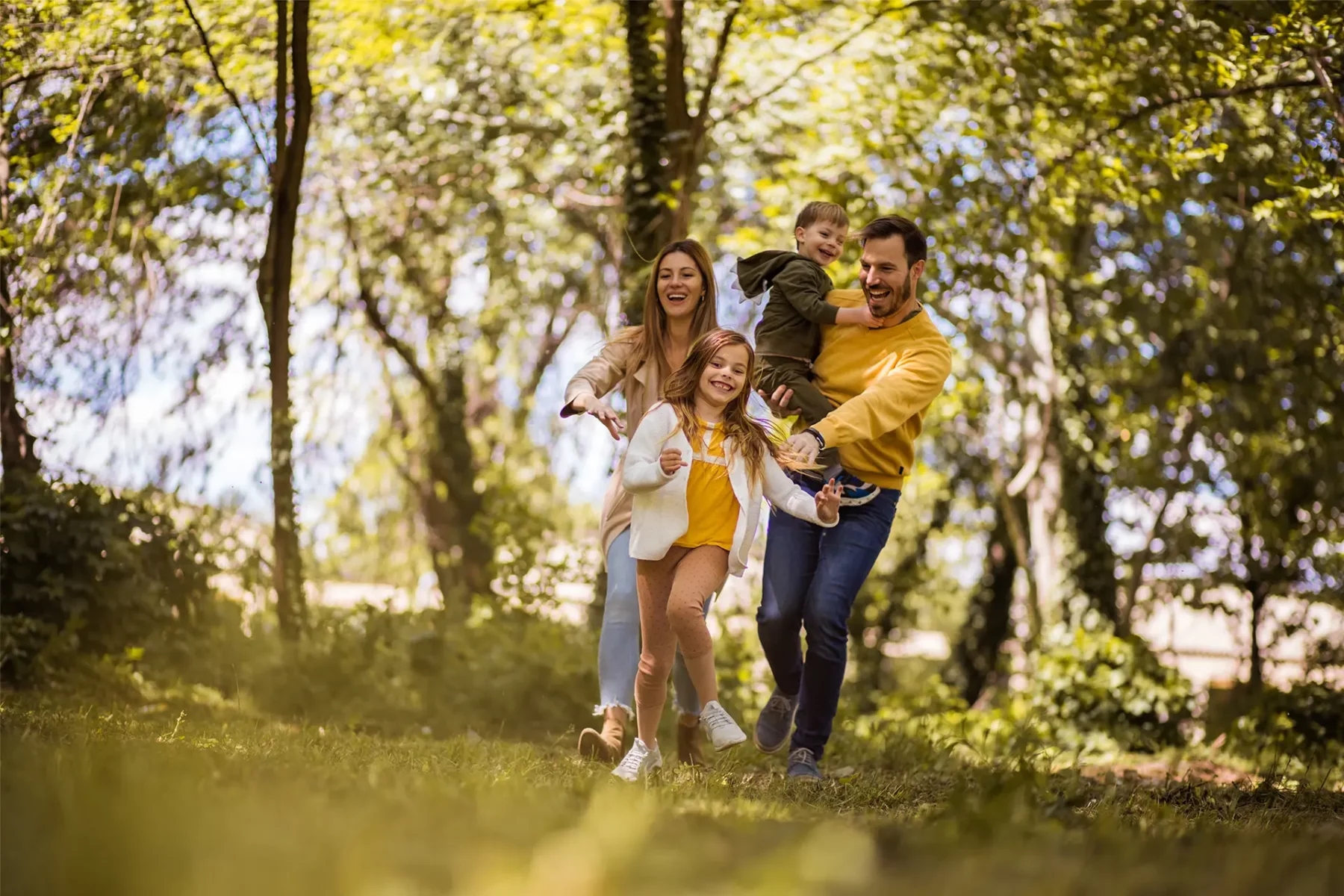 Une famille se baladant dans la forêt